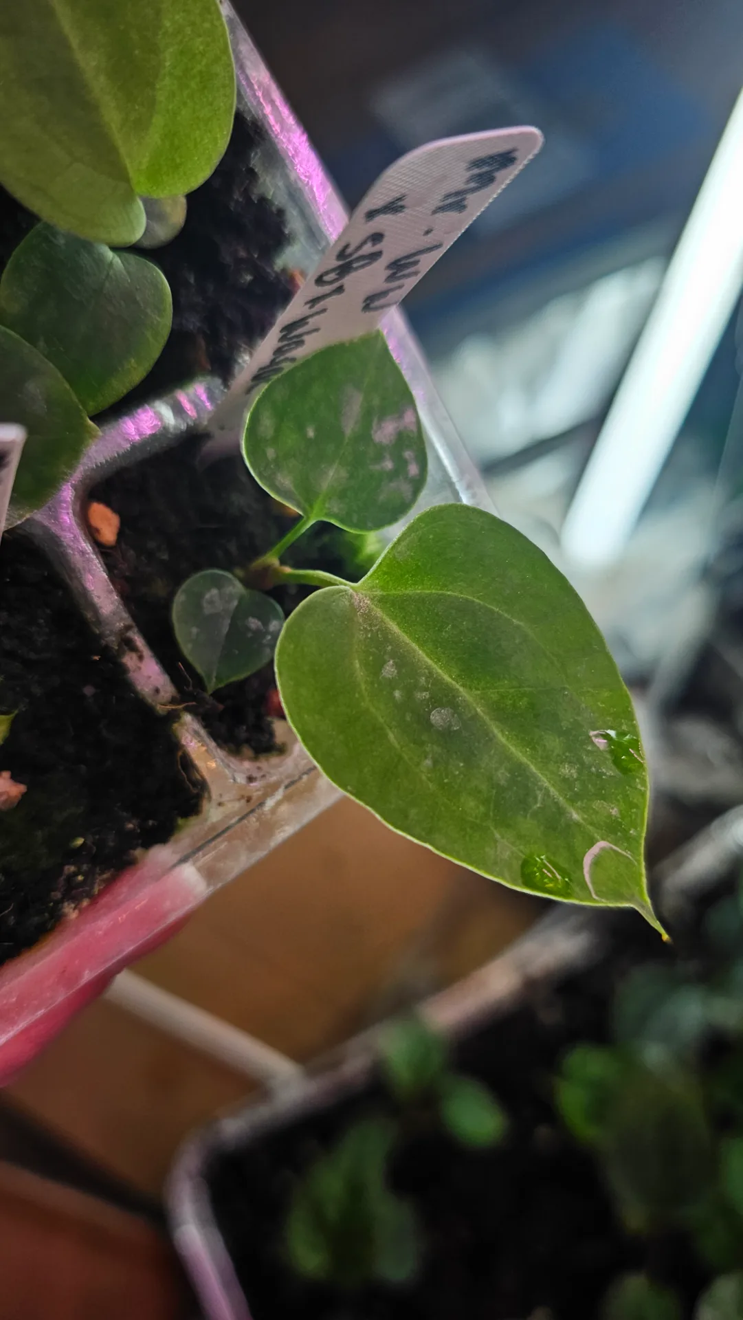 Post 118 media 10